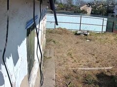 Sat Tovarasia, Jud. Ialomita